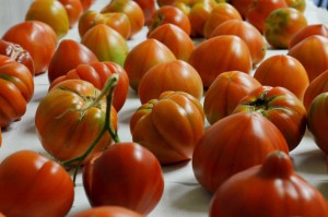 tomates (FILEminimizer)