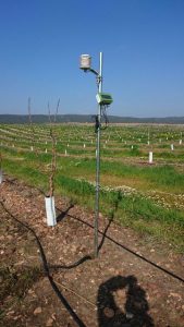 Dispostivo datalogger con varios dispostivos que monitorizan cultivo, planta, suelo y microclima