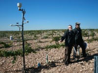 Proyecto Misión Posible para agua de La Mancha, tecnología para una agricultura 3.0 en las Tablas de Daimiel