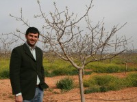 El pistachero, un cultivo con muchas posibilidades en el campo manchego