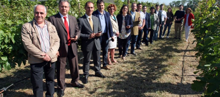 Una app desarrollada por la Universidad de La Rioja permite predecir el volumen de cosecha del viñedo