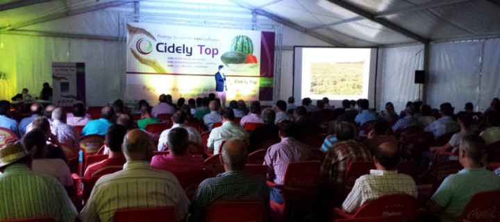 La presentación de Cidely Top reúne a más de doscientos productores de melón en Cinco Casas