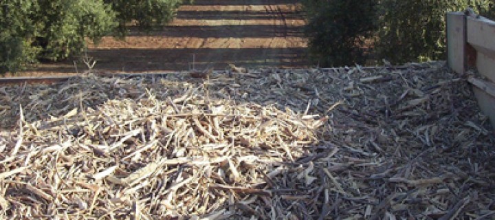 El CIEMAT inicia el Proyecto Cleambion sobre sostenibilidad y control de la biomasa residual