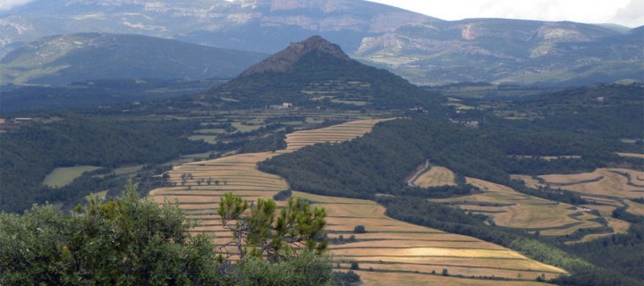 Ayudas a la mejora de la competitividad de las explotaciones agrarias por 14,14 M€ en Cataluña