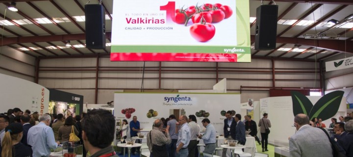 Syngenta presenta sus novedades en tomate, calabacín, melón y sandía en Expolevante