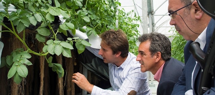 El Gobierno de Cantabria apoya un nuevo modelo de producción de siembra de patata en el aire