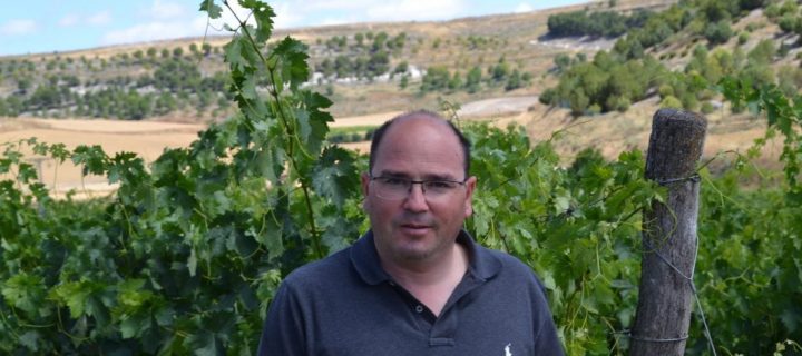 Bodegas Comenge, levaduras propias para vinos ecológicos en Ribera del Duero