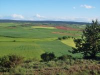 Andalucía prorroga la presentación de solicitudes para modernizar explotaciones agrarias hasta  el próximo 24 de septiembre