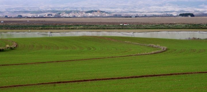 Navarra destina 3,5 millones de euros para instalación de jóvenes agricultores