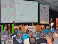 El IRTA presenta un nuevo modelo de plantaciones de pera Conference más productivo