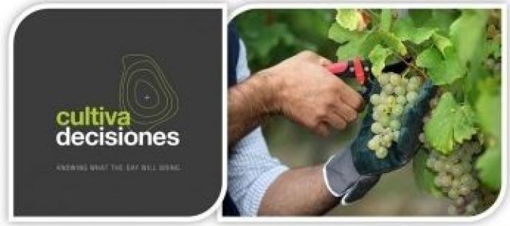 Seresco, desarrolladora de ‘Cultiva Decisiones’, se une a la Plataforma Tecnológica del Vino