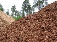 Casi 600 toneladas de matorral gallego en zonas de alto riesgo de incendio convertidas en pellet