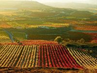 La Rioja abre el plazo para solicitar siete convocatorias de ayuda del PDR 2014-20