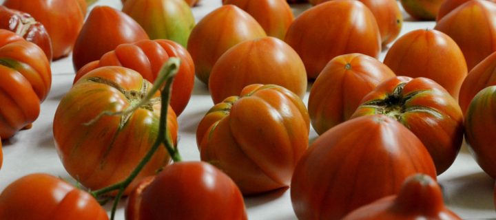 Cómo recuperar el sabor tradicional del tomate
