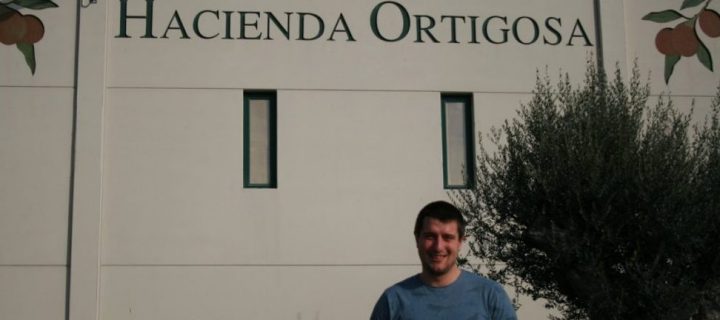 El olivar en superintensivo de Hacienda Ortigosa en Navarra