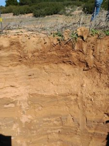 5.- Calicata en el suelo donde se pudo observar de una manera muy didactica los diferentes procesos erosivos de suelo (FILEminimizer)