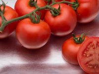 Syngenta presenta su tomate rama Versalles