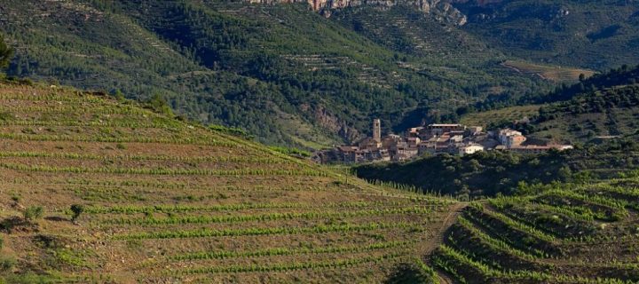 Cataluña concede 10 M€ para mejorar la competitividad de las explotaciones agrarias