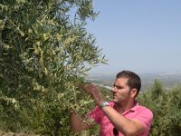 Mucha dedicación y una visión empresarial para la modernización del olivar tradicional