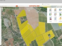 La asociación de productores de mandarino Orri crea un geoportal de información en tiempo real