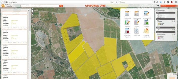 La asociación de productores de mandarino Orri crea un geoportal de información en tiempo real