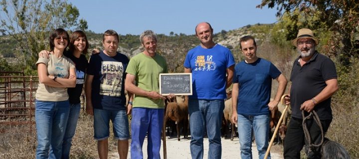Crowdfunding para rescatar la producción lanar