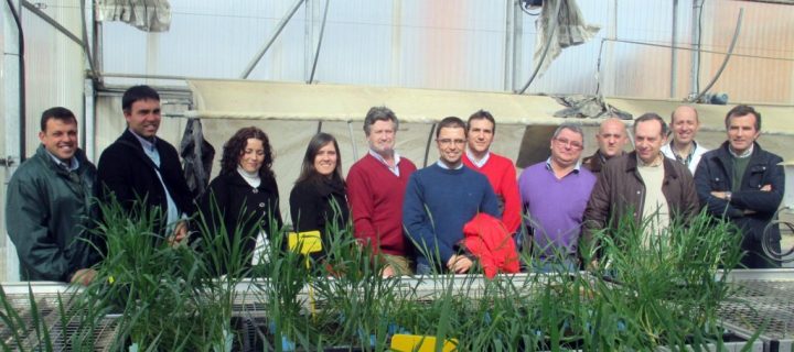 La empresa de semillas Agrovegetal recibe el sello Pyme Innovadora