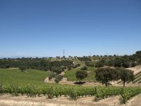 Valquejigoso, una apuesta por la biodiversidad y la integración del viñedo en el entorno natural