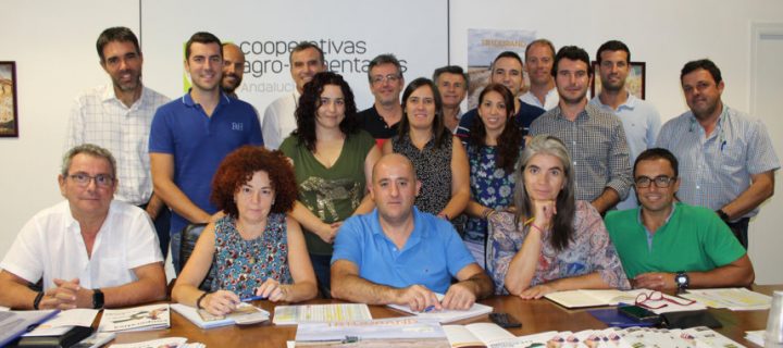 Primeros resultados del Grupo Operativo de Trigo Duro de Alta Calidad en Andalucía