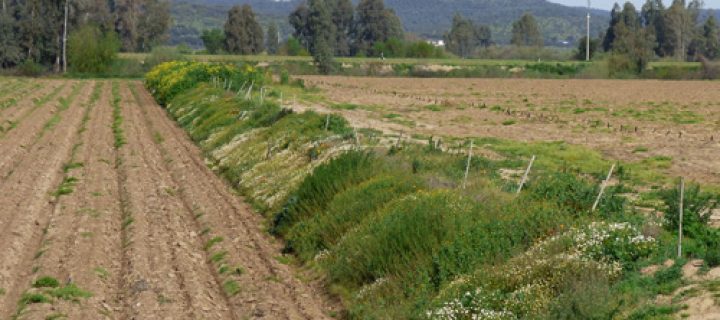 Red Agraria de Cultivos Sostenibles en fincas de Aragón, Cataluña y Extremadura