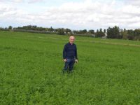 El cultivo de alfalfa, técnica y precisión para obtener rentabilidad