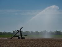 CSIC propone un método para la evaluación de la rentabilidad del riego en la agricultura