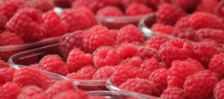 Riego Berry, una app de recomendaciones de riego para los frutos rojos