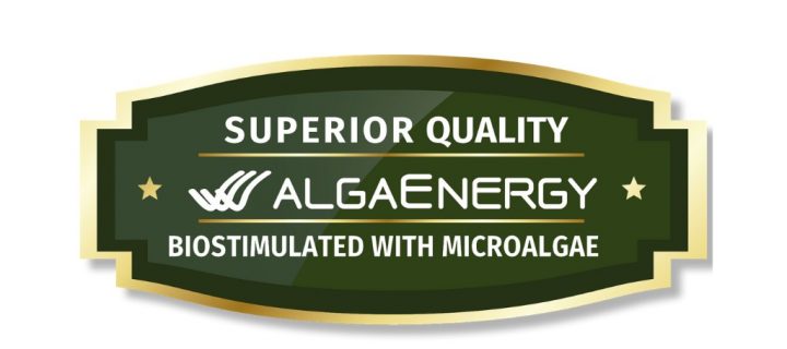 AlgaEnergy desarrolla un sello que certifica la máxima calidad de los productos finales