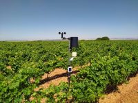 La DO Rueda instala una red de estaciones meteorológicas para controlar los viñedos desde el móvil