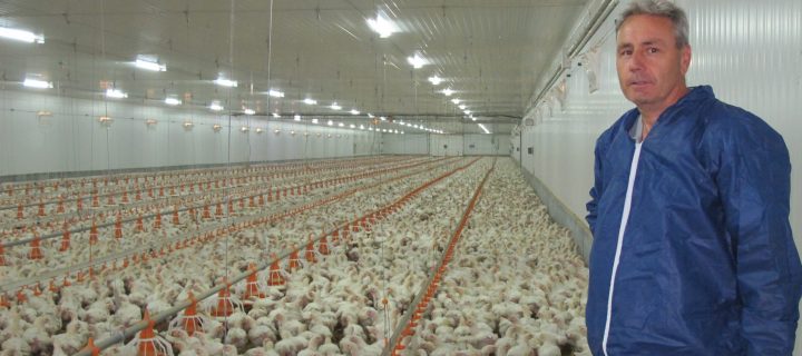 Granja Esteller, una explotación avícola eficiente y sostenible