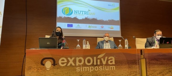 Nutrisan, el nuevo proyecto para el manejo sostenible de la nutrición del olivar