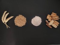 Identifican las 15 variedades de trigo español con mayor potencial