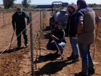 Técnicas para el control de las malas hierbas en Aragón