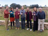 Impulsan un cambio de paradigma en la gestión de los viñedos en España