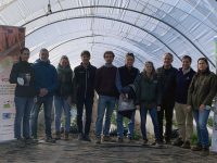 Potencian la sostenibilidad del cultivo de la fresa en Doñana