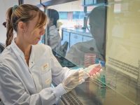 Investigan nuevos ingredientes activos con funciones antimicrobianas