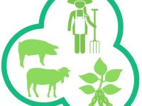 Potencian el cultivo de leguminosas en España para reducir la dependencia externa en alimentación animal