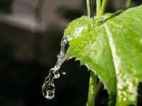 Calcular la huella hídrica, primer paso para mejorar el uso y la eficiencia del agua