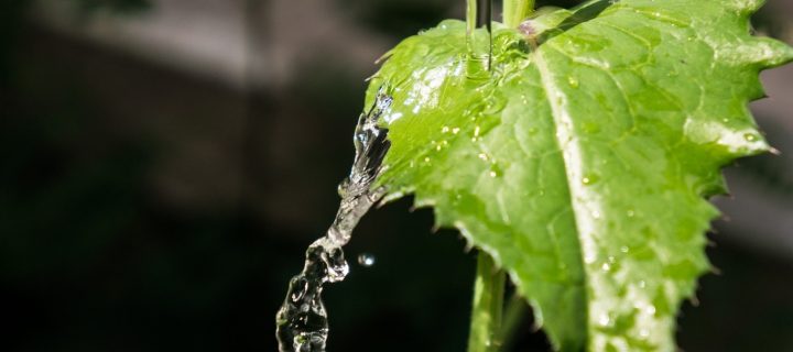 Calcular la huella hídrica, primer paso para mejorar el uso y la eficiencia del agua