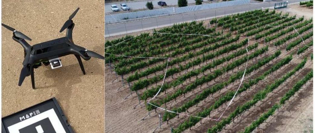 Estimación del dosel foliar para una gestión diferenciada del viñedo a nivel de planta