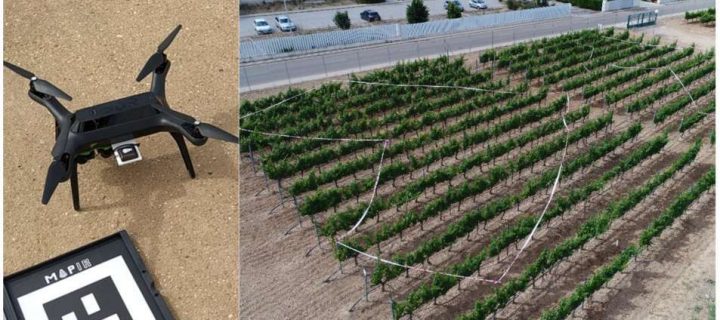 Estimación del dosel foliar para una gestión diferenciada del viñedo a nivel de planta