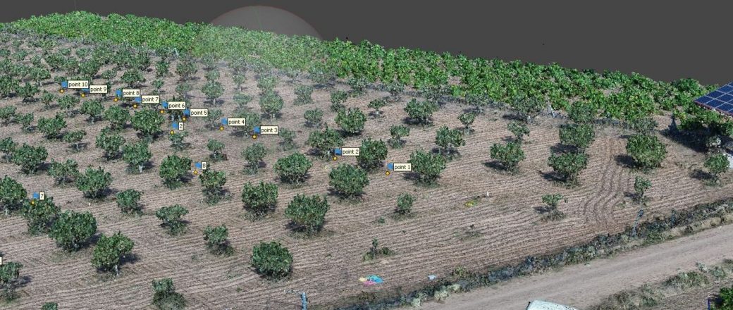 Drones y sensores para mejorar la producción de pistacho en Castilla y León
