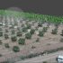 Drones y sensores para mejorar la producción de pistacho en Castilla y León