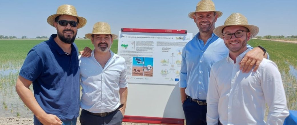 El cultivo de arroz en Sevilla y Cádiz más sostenible